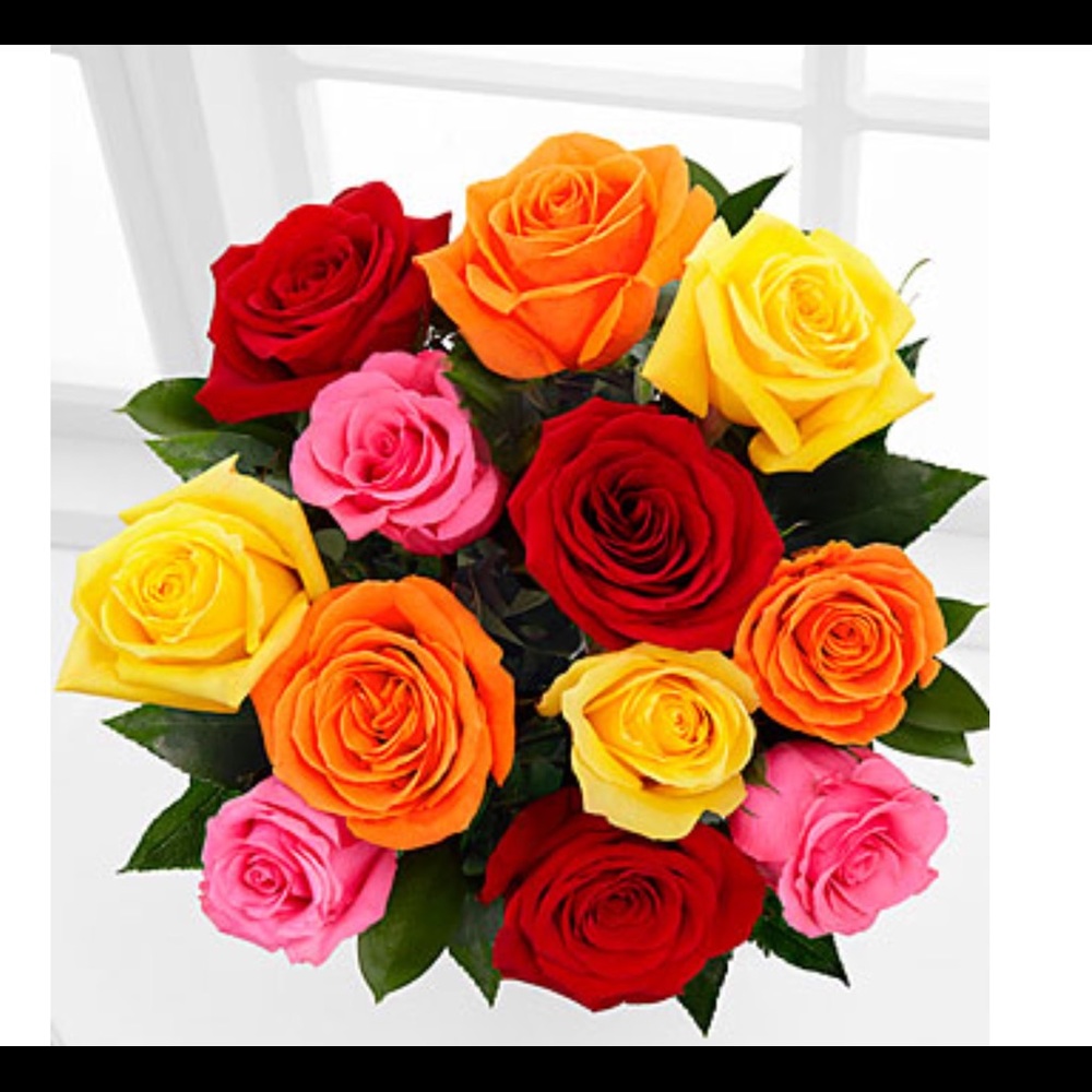 Meet your Posher, Nikki